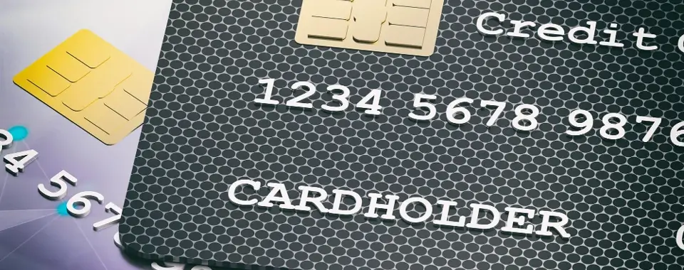 Intercept Technology™ - Introducing Credit Card Fraud Protection.