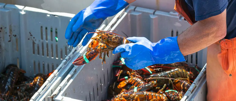 Intercept Technology™ - Sustainable Food Packaging.