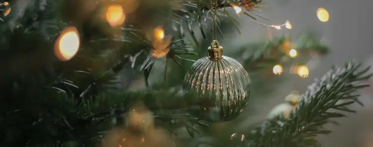 Intercept Technology™ - Protect Your Ornaments.