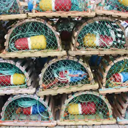 Intercept Technology™ - Food Packaging Essentials.