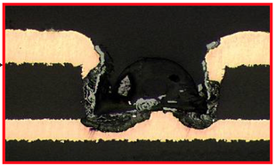 Intercept Technology™ - Magnified Protection After 6 Weeks.